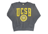 Vintage UCSB Crewneck